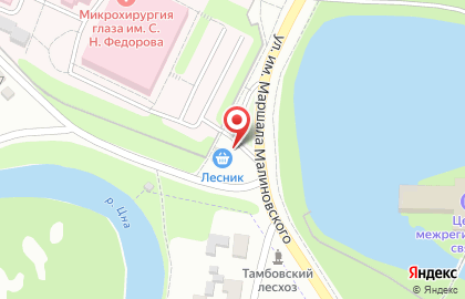Продуктовый магазин Лесник в Тамбове на карте