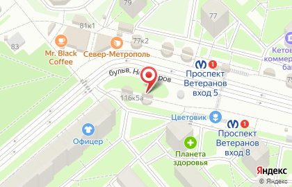 Бистро Твоя любимая шаверма на проспекте Ветеранов на карте