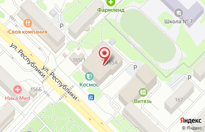 33 пингвина на улице Республики на карте