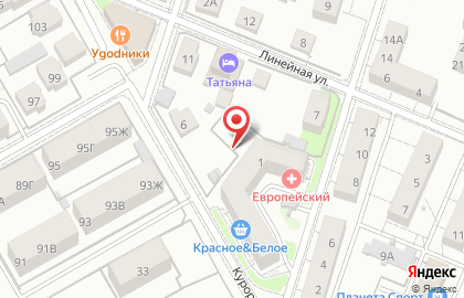 Всероссийское добровольное пожарное общество в Ленинградском районе на карте