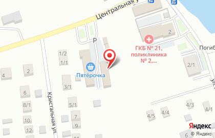 Магазин разливного пива Главпивторг на Центральной улице на карте
