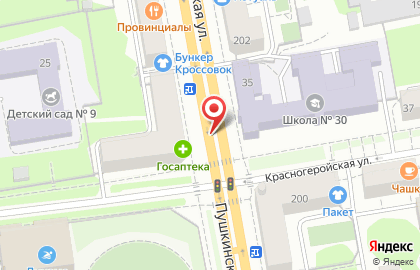 Служба доставки Япона Мать на Пушкинской улице на карте