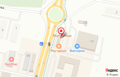 Студия аэродизайна Шаровик на Каштановой улице на карте