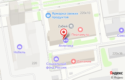 Экипировочный центр Единоборец в Заельцовском районе на карте