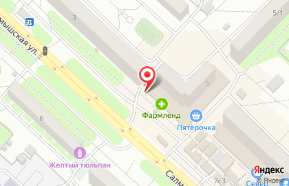 Фирменный магазин Мясная деревня на Салмышской улице, 5 на карте