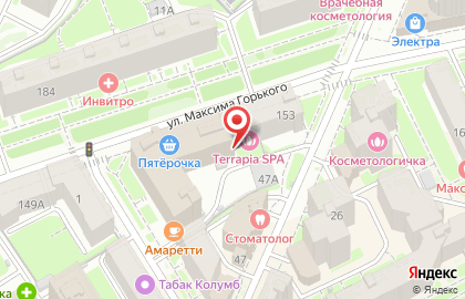 Нижегородская коллегия адвокатов №5 на карте