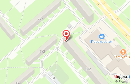 Продовольственный магазин на проспекте Ветеранов на карте