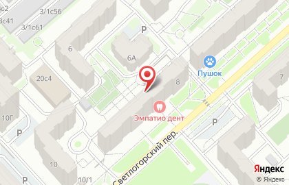 ВЫБОР в Светлогорском переулке на карте