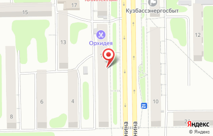 Магазин у дома Бристоль на проспекте Ленина на карте