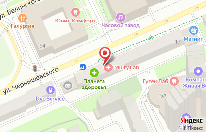 Груминг-салон Багира на улице Чернышевского на карте