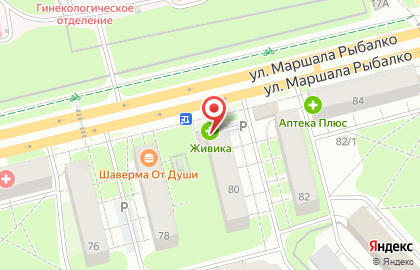 Аптека Живика в Перми на карте
