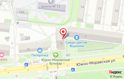 Алина на Южно-Моравской улице на карте