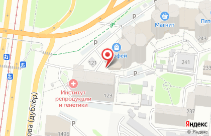 Зоомагазин Динго в Индустриальном районе на карте