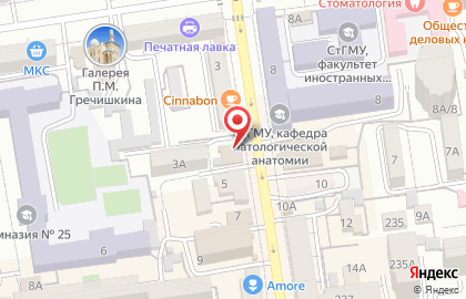 Мадам Безе на улице Пушкина на карте