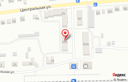 Продуктовый магазин на Центральной улице на карте