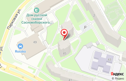 Игла в Сосновом Бору на карте