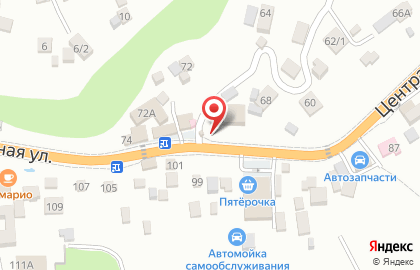 Цветочный киоск на Центральной улице на карте