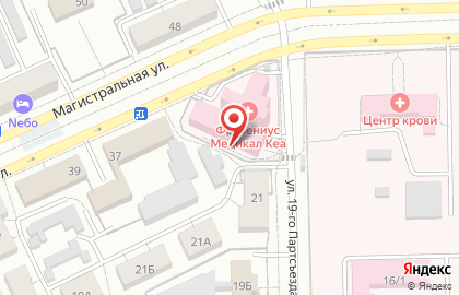 Пикник на карте