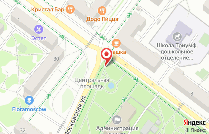 Dandelion на карте