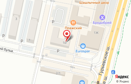 Магазин сумок и аксессуаров Toffe в Калининграде на карте