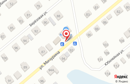 Супермаркет Магнит у дома на улице Мичурина на карте