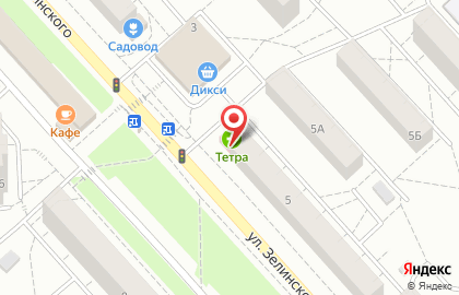 Аптека Тетра на улице Зелинского на карте