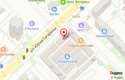 Продуктовая лавка на улице Юрия Гагарина на карте