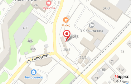 Компания по подбору и продаже автоэмалей АвтоMIX на улице Говорова на карте