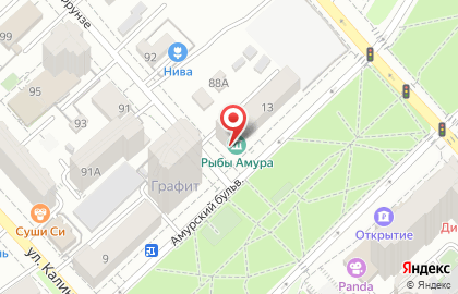 Хабаровский филиал Вниро на карте