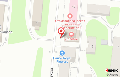 Группа компаний Трансбалт Таможенный логистический оператор на улице Капитана Буркова на карте