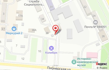Зоомагазин Друг в Южно-Сахалинске на карте