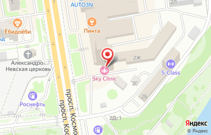 Сервисный центр Pedant.ru на проспекте Космонавтов на карте