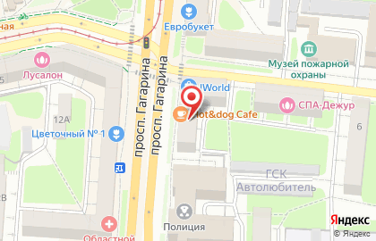 Компания LEONA на карте
