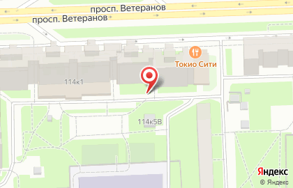 ЗАО Банкомат, Банк ВТБ 24 на проспекте Ветеранов на карте