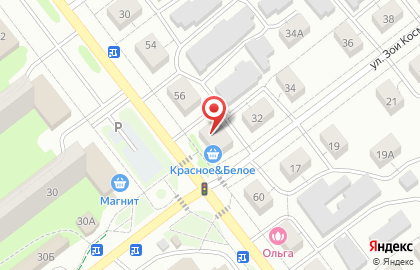 Зоомагазин Зоосфера на улице Грибоедова на карте