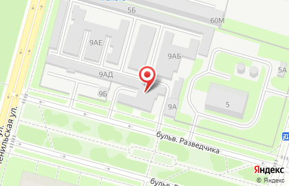 Шиномонтажная мастерская в Петродворцовом районе на карте
