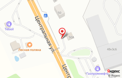 Кафе быстрого питания на Центральной улице на карте