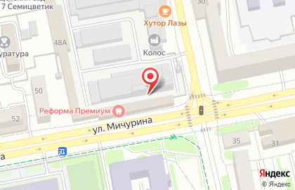 Салон Царство цветов на улице Мичурина на карте