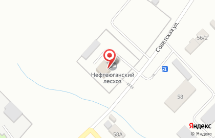 Нефтеюганский лесхоз на карте