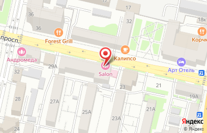 Клиника эстетической медицины SALON CLINIC на карте