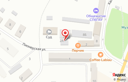Кафе быстрого питания на Пионерской улице на карте