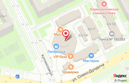 Лидер в Купчино на карте