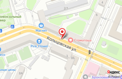 Швей-Мастер | Ремонт швейных машин в Воронеже на Кольцовской улице на карте