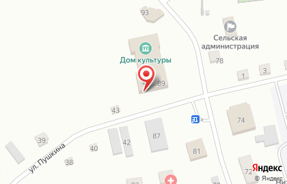 Нижнекаменская Поселенческая Библиотека на карте