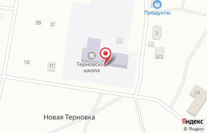 Средняя общеобразовательная школа с. Терновка на карте