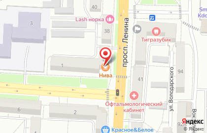 Кафе Нива на улице Васенко на карте