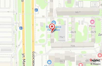 Ветеринарная клиника доктора Петренко на улице Малиновского на карте