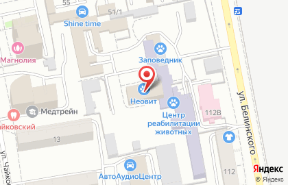 Ветеринарная аптека Инвет на улице Белинского на карте