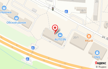 Фирменный магазин Новосибирская птицефабрика на улице Ломоносова на карте