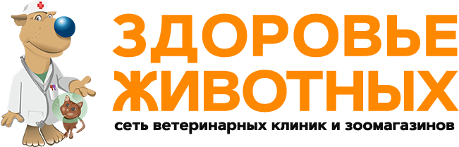 Здоровье животных. Ветеринарная клиника здоровье животных Воронеж. Здоровье животных интернет магазин. Здоровье животных Воронеж Антонова Овсеенко.